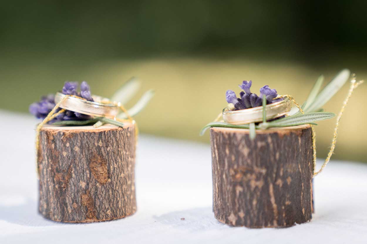 Zwei Ringe auf einem Stück Holz